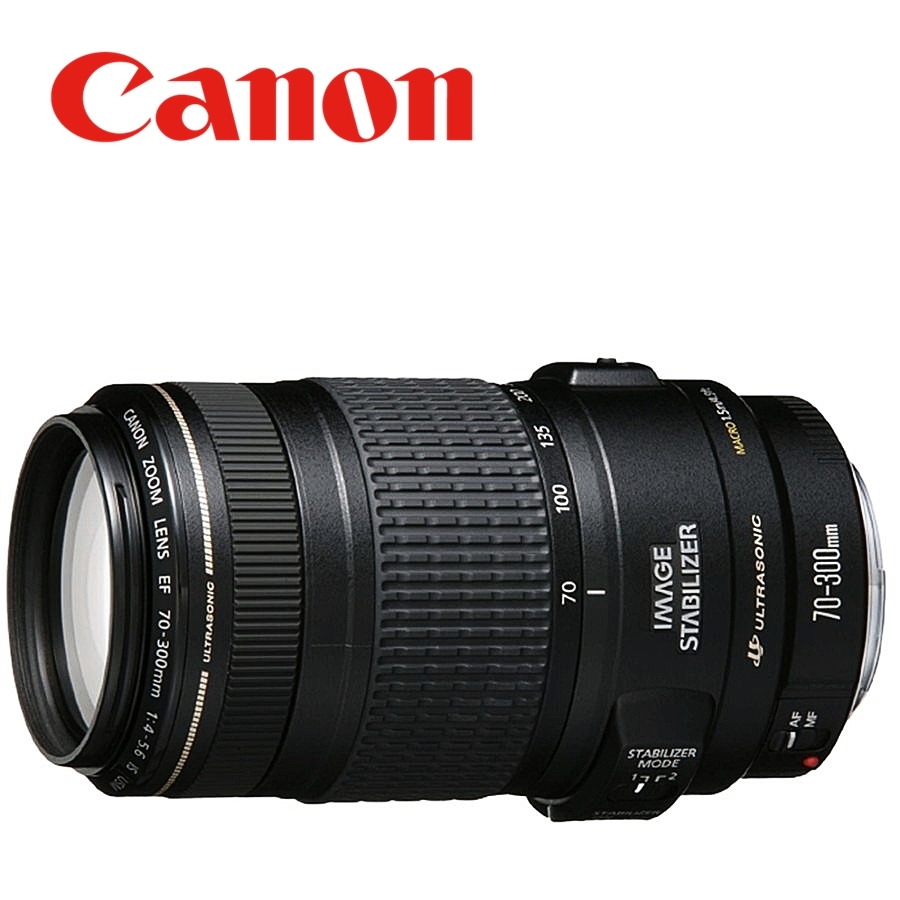 最高品質の キヤノン Canon EF 70-300mm F4-5.6 IS USM フルサイズ対応