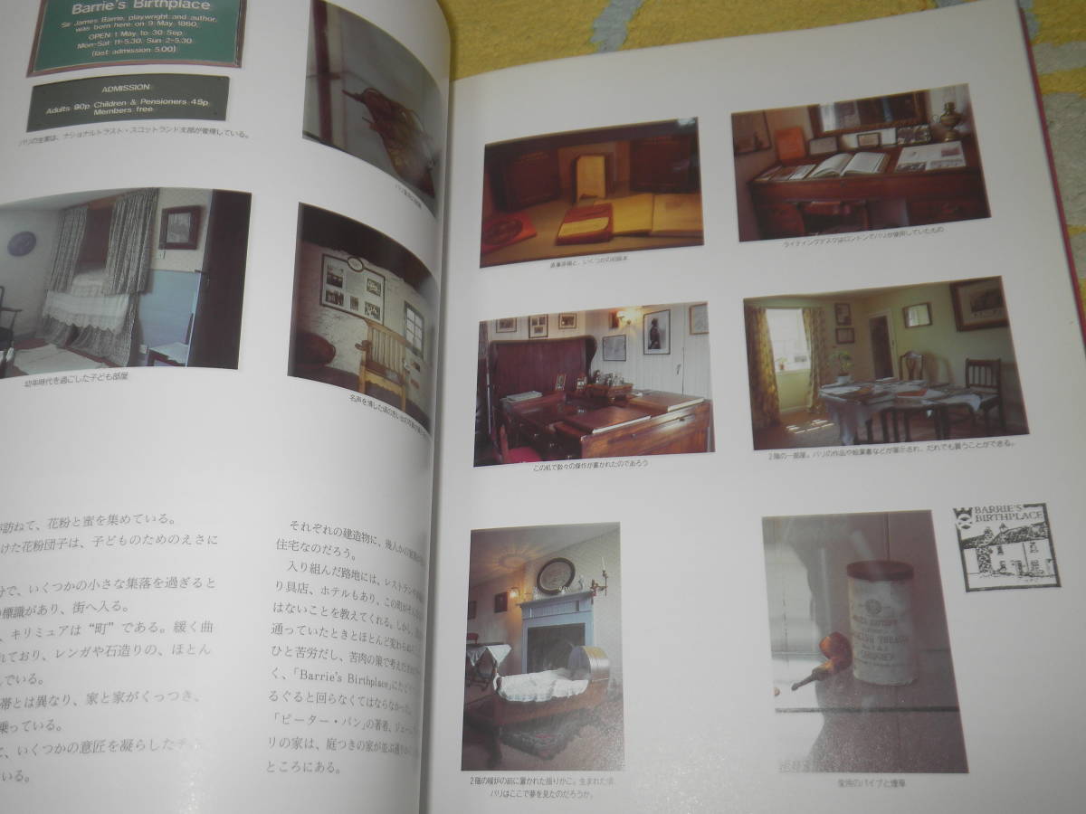 ヤフオク ピーター パンと妖精の国 求龍堂グラフィック ヤフオク ピーター パンと妖精の国 求龍堂グラフィック