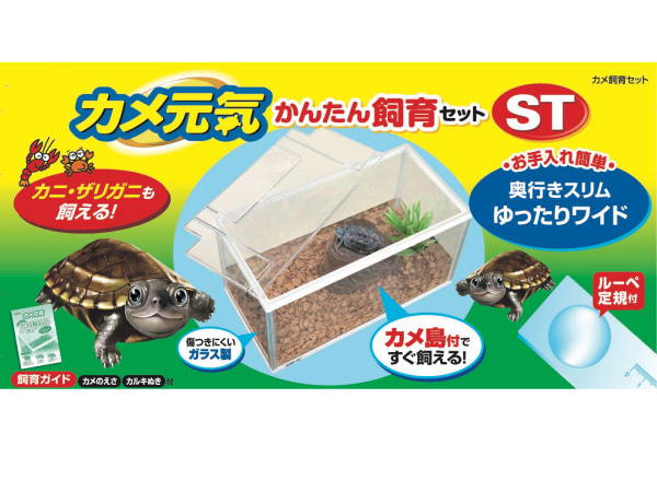 GEX turtle origin . simple breeding set ST reptiles amphibia supplies turtle breeding supplies turtle breeding set jeks