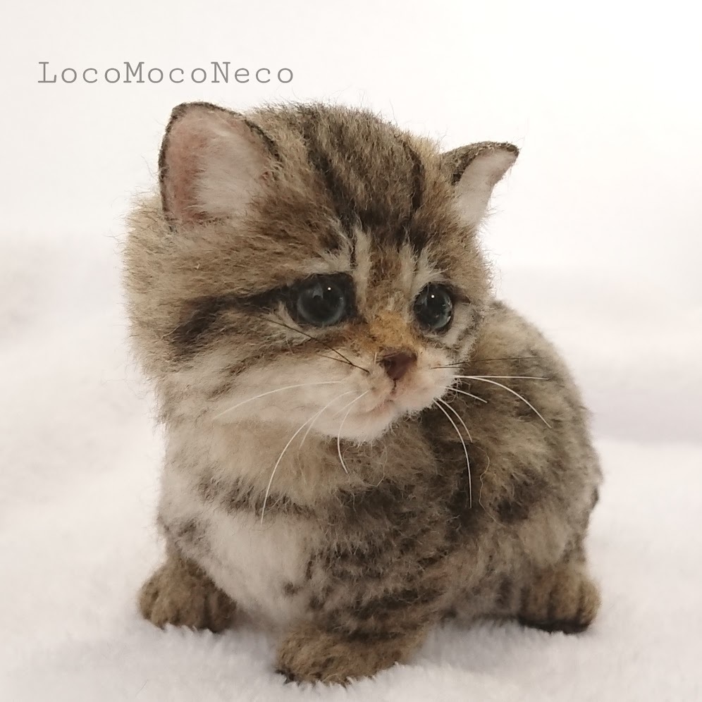 Yahoo!オークション - LocoMocoNeco 羊毛フェルト 超短足 Yahoo!オークション - LocoMocoNeco 羊毛フェルト 超短足
