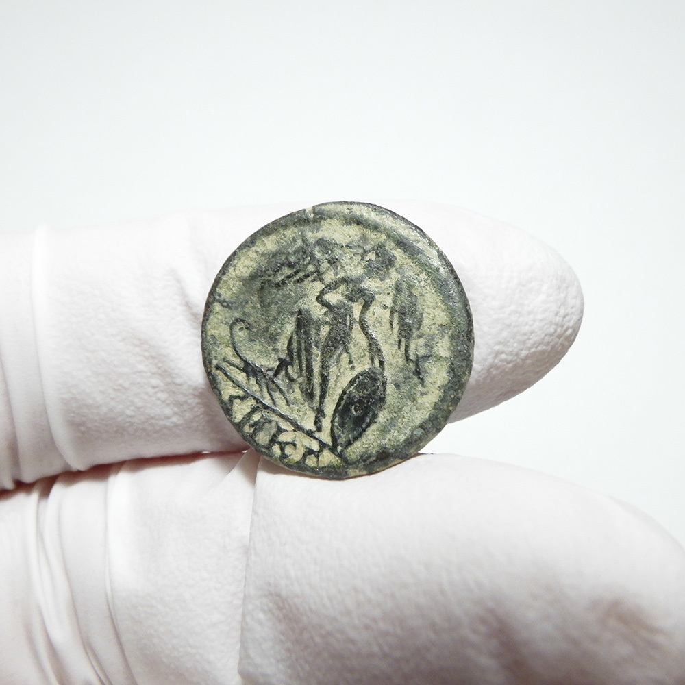 【古代ローマコイン】City Commem（コンスタンティノポリス記念）クリーニング済 ブロンズコイン 銅貨 フォリス(V7FeJrzNP4)_画像7