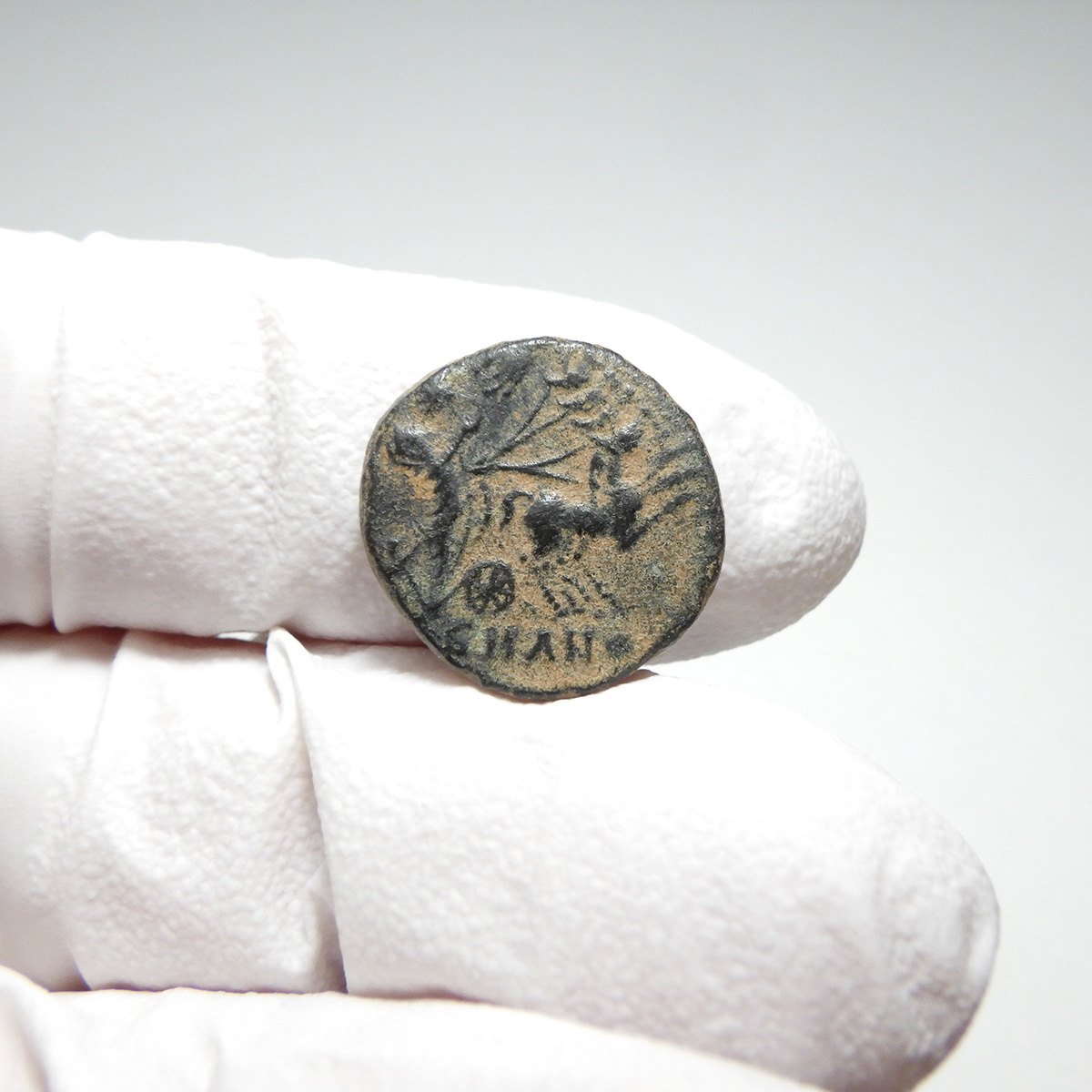 【古代ローマコイン】Constantine I（コンスタンティヌス1世）クリーニング済 ブロンズコイン 銅貨 フォリス(fG4E3PZ7DG)_画像6
