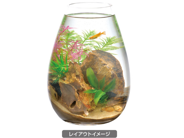 GEX 癒し水景 ボトルプランツ ミリオフィラム 熱帯魚 観賞魚用品 水槽用品 アクセサリー ジェックス_画像3