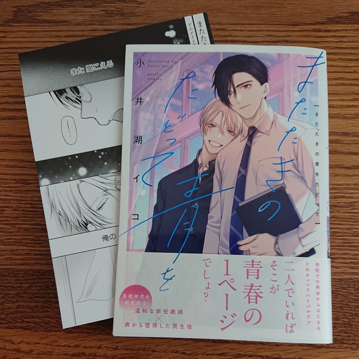 極美品☆またたきの青をたどって/小井湖イコ/BL 漫画/アニメイト特典リーフレット 帯付き☆4冊同梱可能!!_画像1