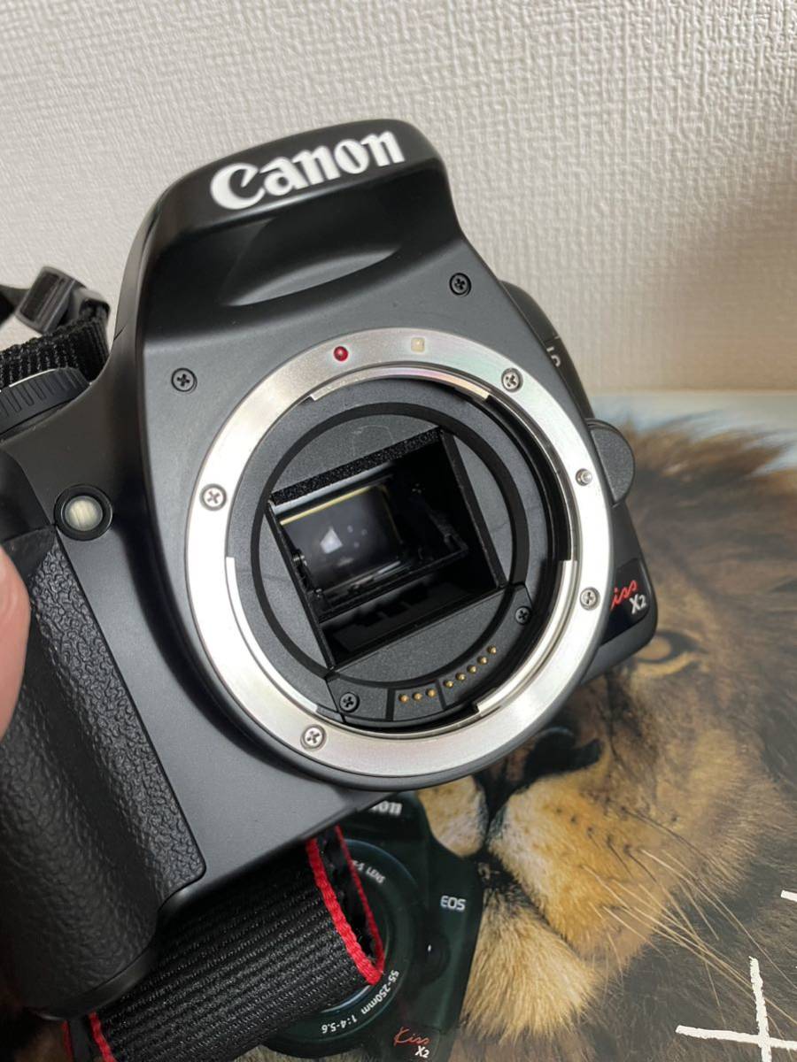 超美品！Canon EOS Kiss X2 レンズセット　箱、説有り　全ての動作確認OK 良品　_画像3