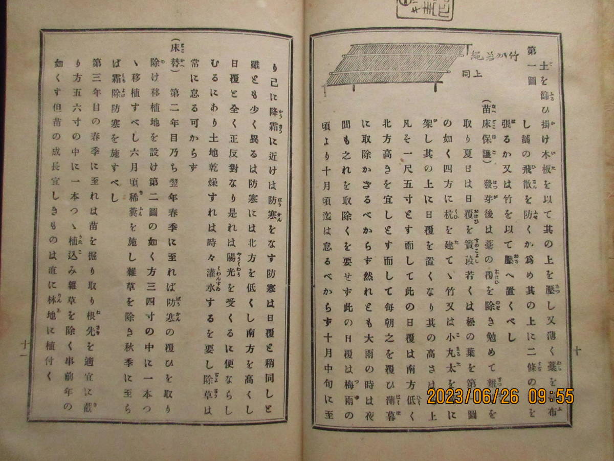 林業　冊子★「造林法大意」明治34年2月　図示　表　繁殖法　實播法　発売　有隣堂_画像8