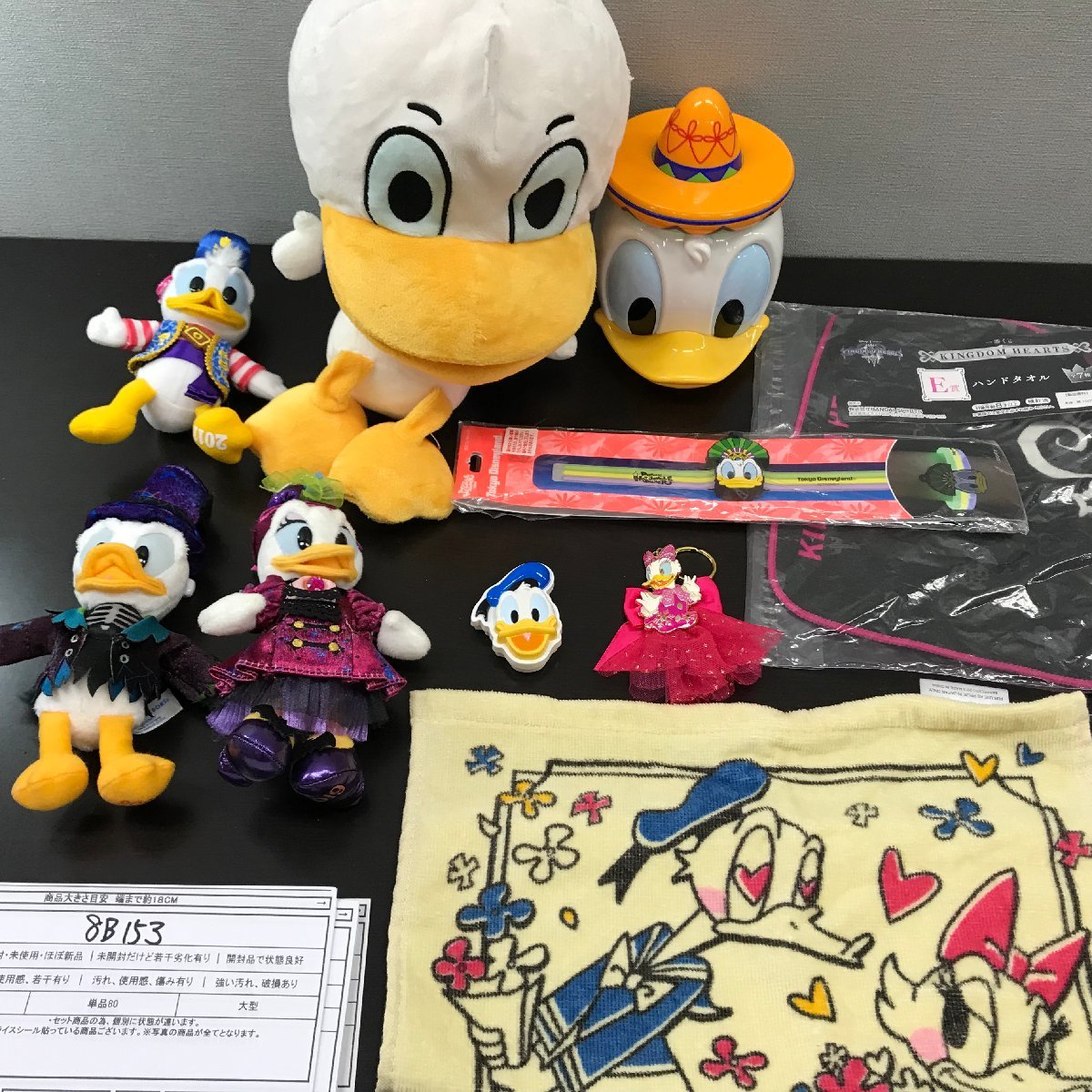 ディズニー 《大量セット》《未使用品あり》ドナルド&デイジー 10点 ぬいぐるみバッジ ハンドタオル タンブラー 8B153 【80】 JChere雅虎拍卖代购 ディズニー フード付きタオル ドナルド×デイジー セット