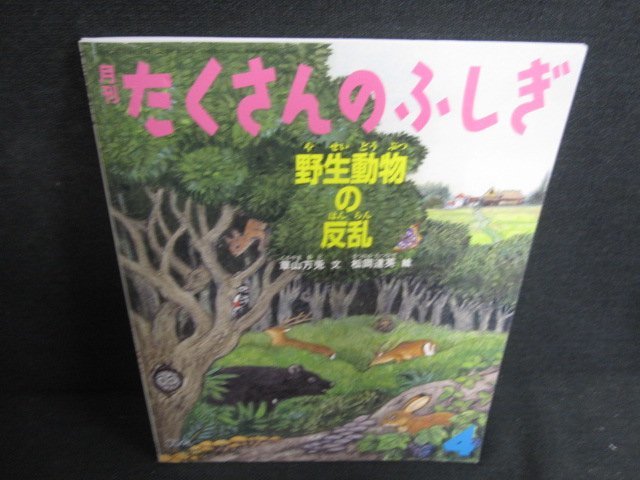 たくさんのふしぎ4　野生動物の反乱　日焼け有/AEX_画像1