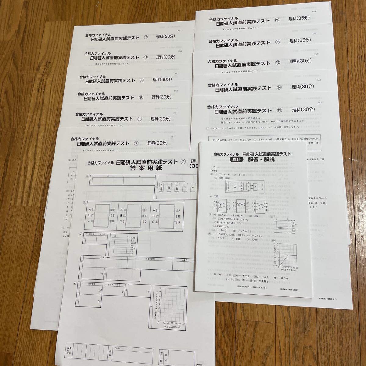 日能研 2022年 合格力ファイナル入試直前実践テスト　6年_画像4