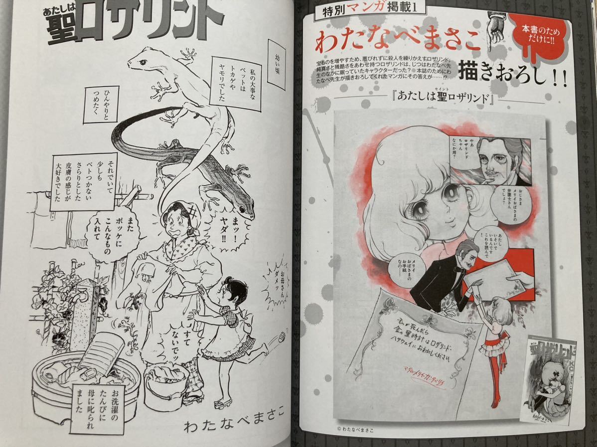 C6☆大人の少女マンガ手帖 オカルト・怪奇ロマン 『このマンガがすごい！』編集部 宝島社☆_画像8