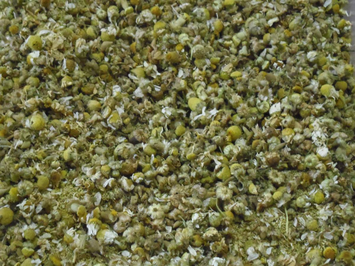 Ромашка 100 г трава саш поппури ароматизированный пахнет пахнет сухой