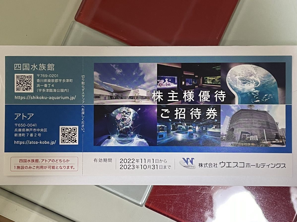 人気ブランド多数対象 四国水族館 atoa 株主様優待ご招待券