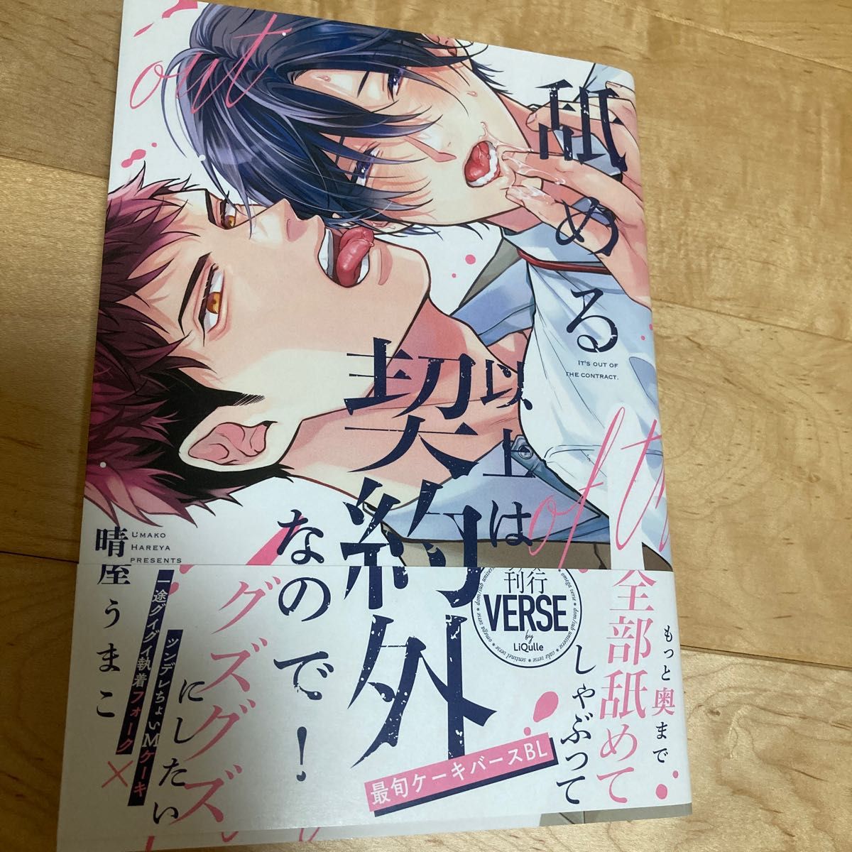 舐める以上は契約外なので! /晴屋うまこ ケーキバース BLコミック 2023年5月 新刊