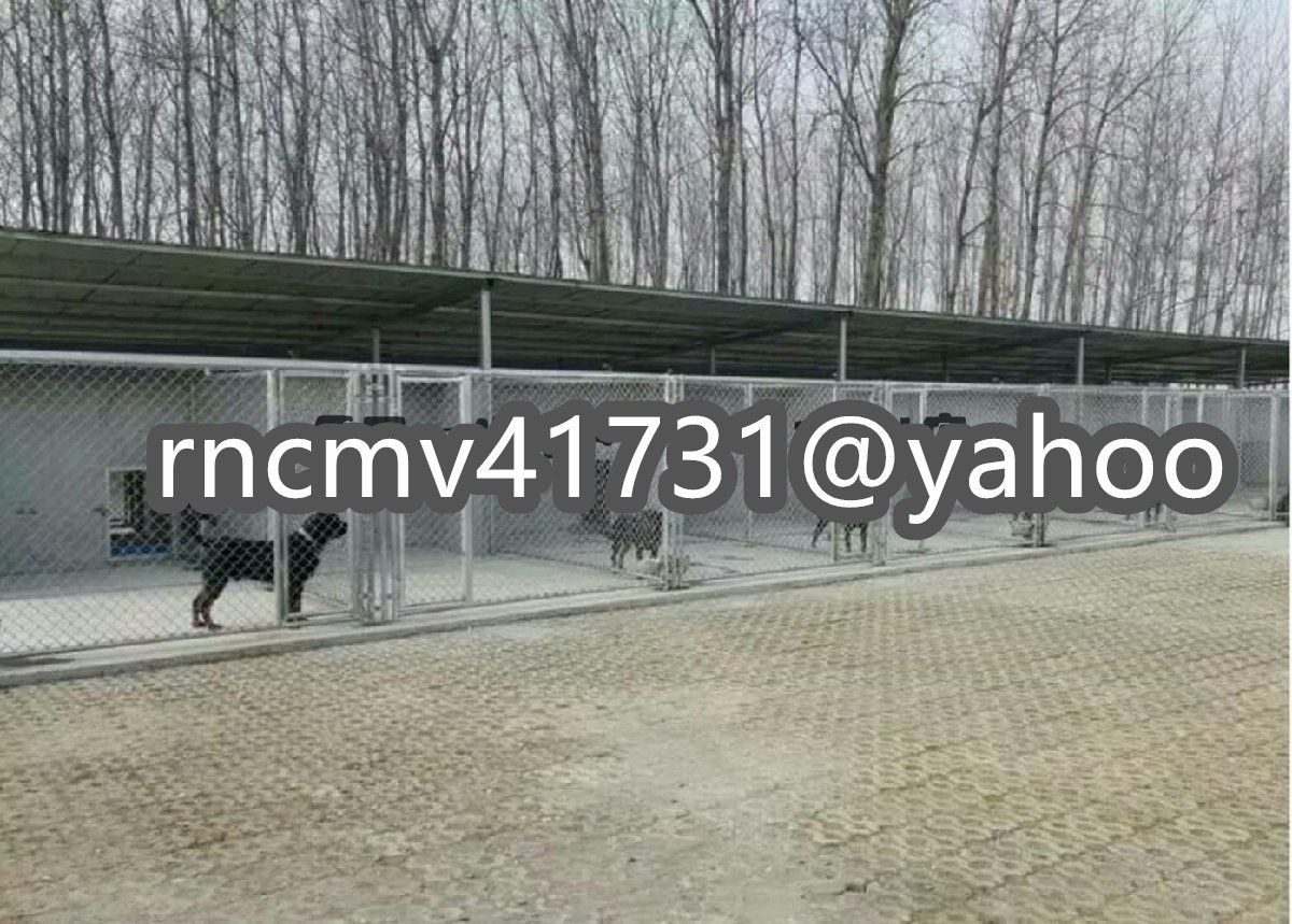 [81SHOP]3*3*2m * dog. basket pet fence wire dog . large dog outdoors pompon drilling .DIY pet cage 