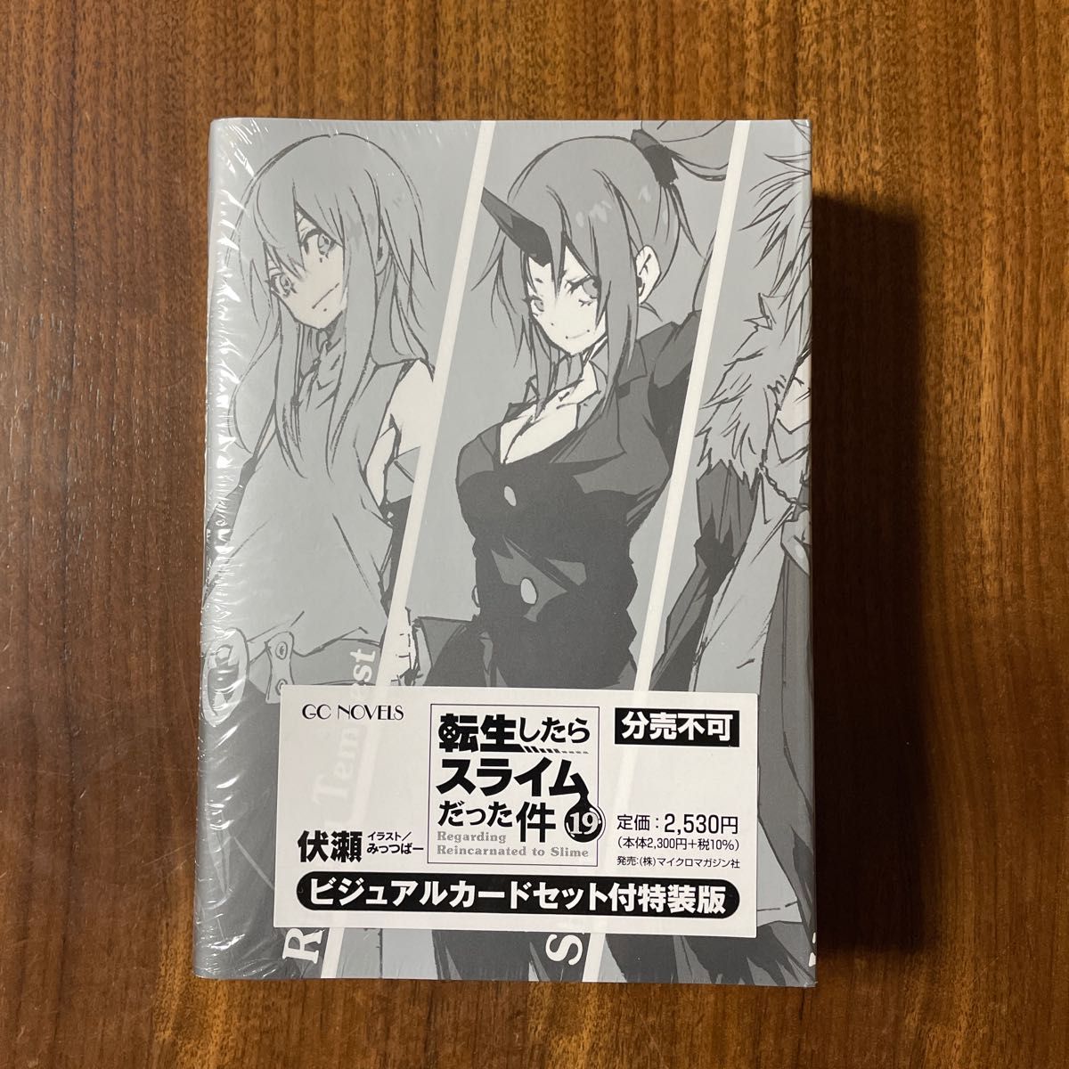 小説 転生したらスライムだった件 19巻 特装版 小説 ビジュアル 小説 転生したらスライムだった件 19巻 特装版 小説 ビジュアル