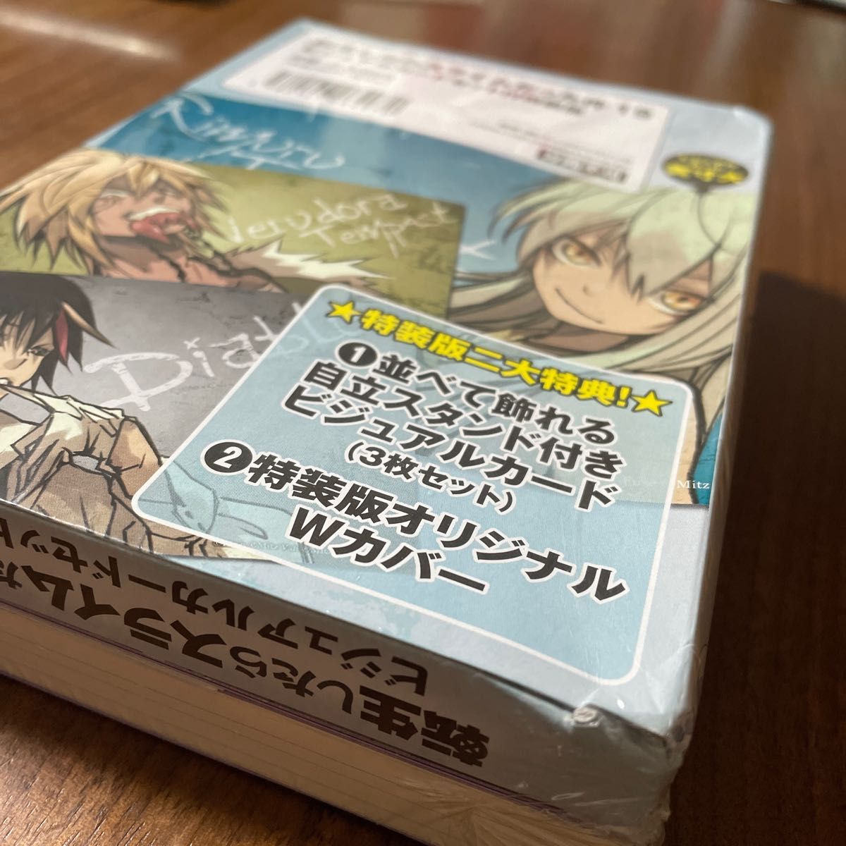 小説 転生したらスライムだった件 19巻 特装版 小説 ビジュアル 小説 転生したらスライムだった件 19巻 特装版 小説 ビジュアル