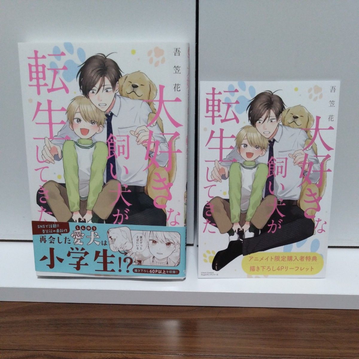 BLコミック 大好きな飼い犬が転生してきた 吾笠花/アニメイト特典リーフレット付き