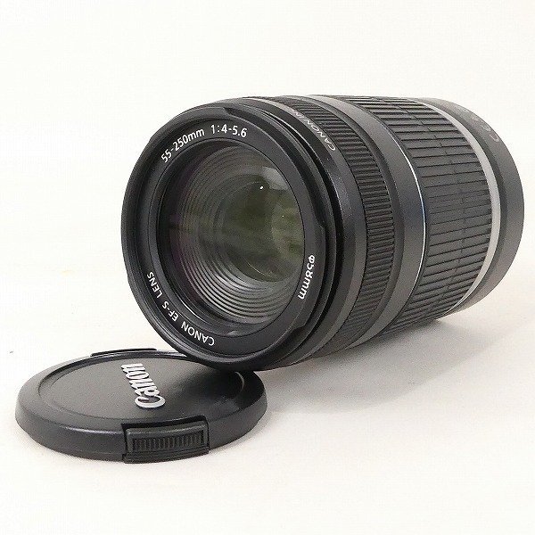 キャノン Canon 望遠ズームレンズ EF-S 55-250mm F4-5.6 IS IMAGE