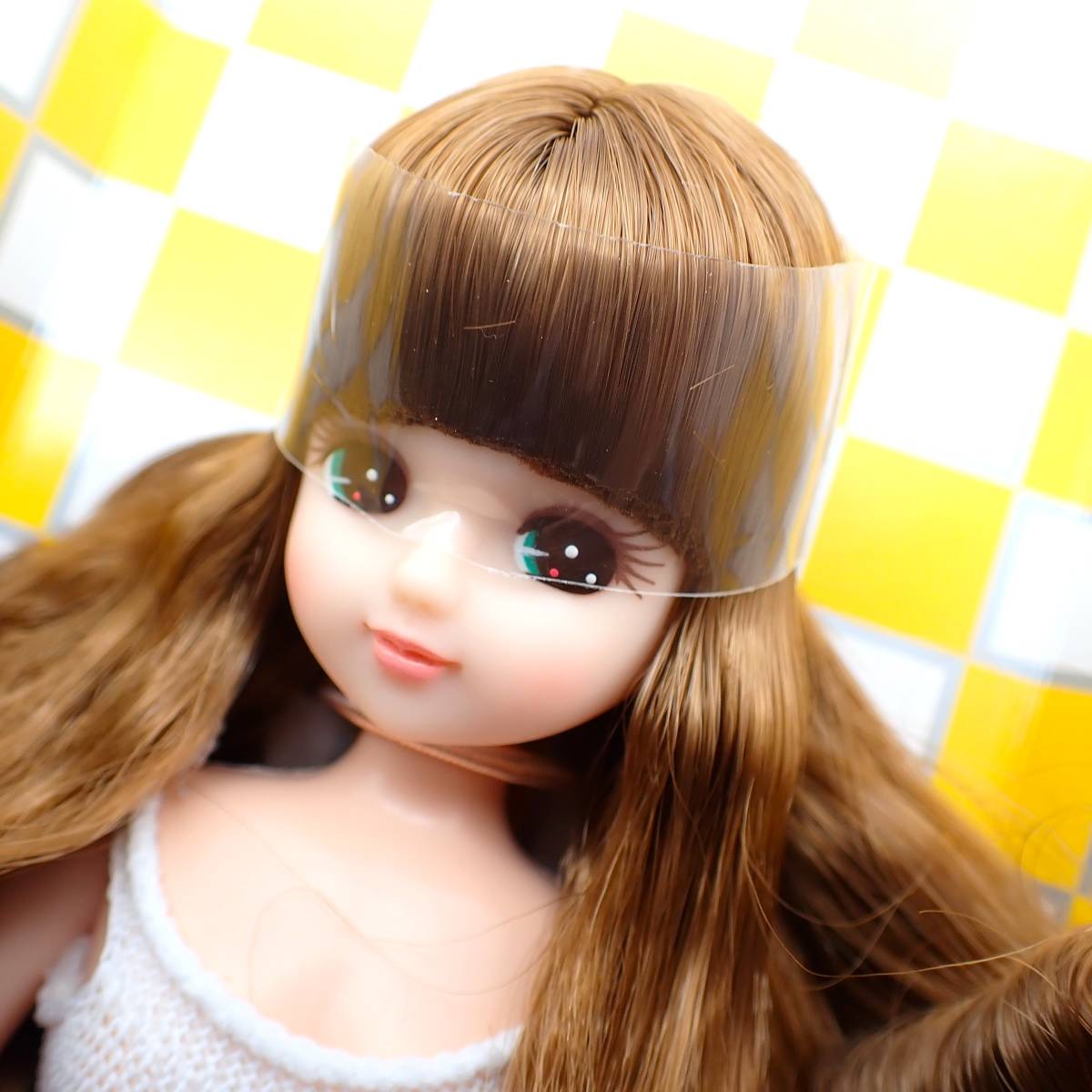 リカちゃん カントリーモデル 11841 箱ドール 22cm 新品 LICCA CASTLE