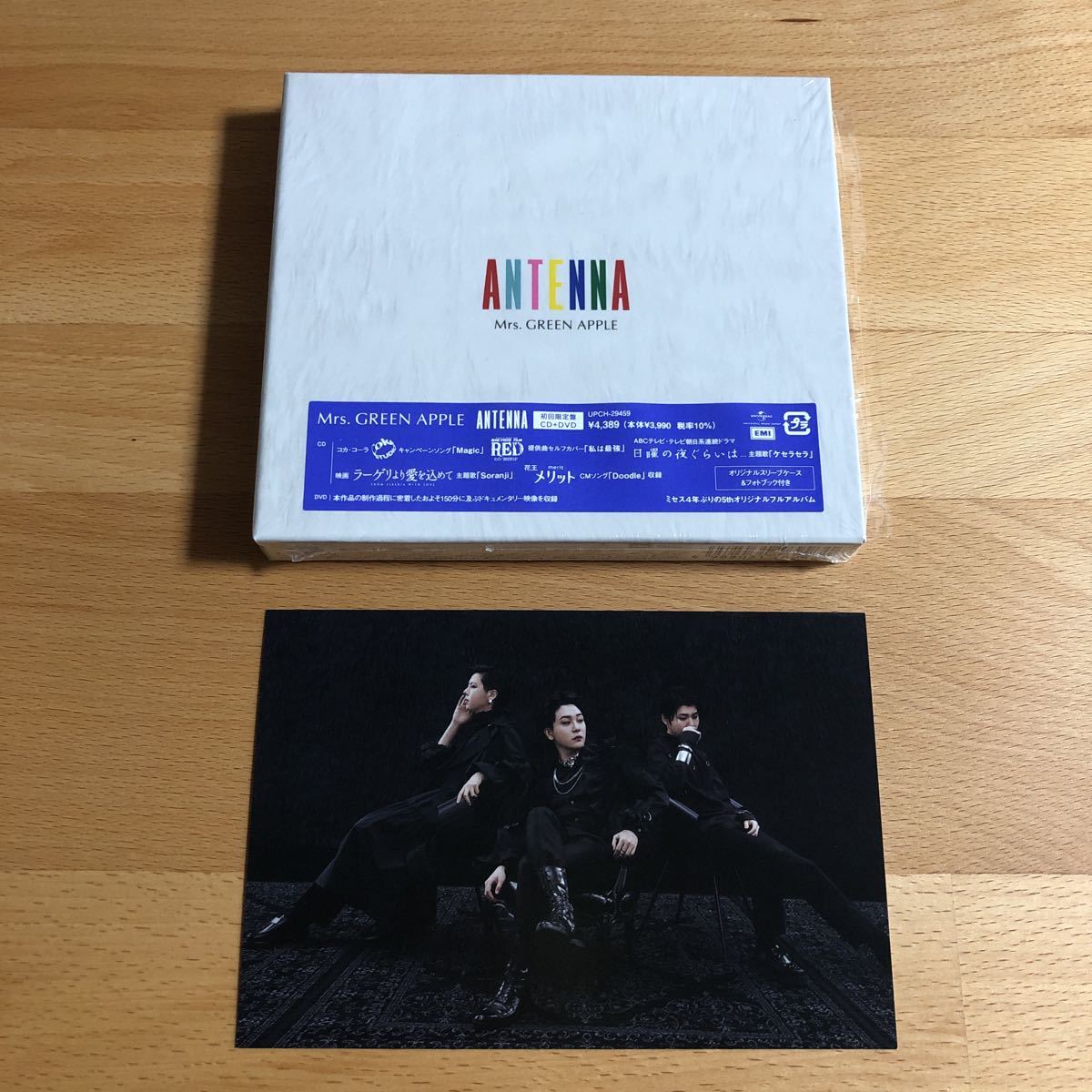 送料無料 Mrs GREEN APPLE ANTENNA 初回限定盤 CD+DVD 送料無料 Mrs GREEN APPLE ANTENNA 初回限定盤 CD+DVD