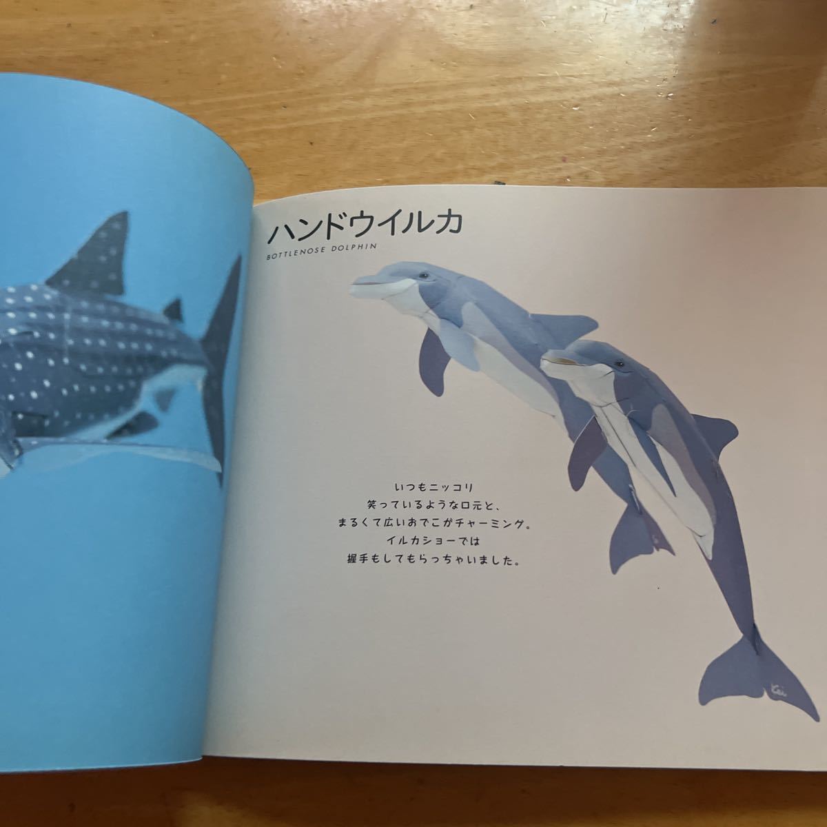 手のひらの動物園どうぶつ紙工作ＢＯＯＫ Ｋｅｉ　Ｃｒａｆｔ・ごとうけい／著_画像2