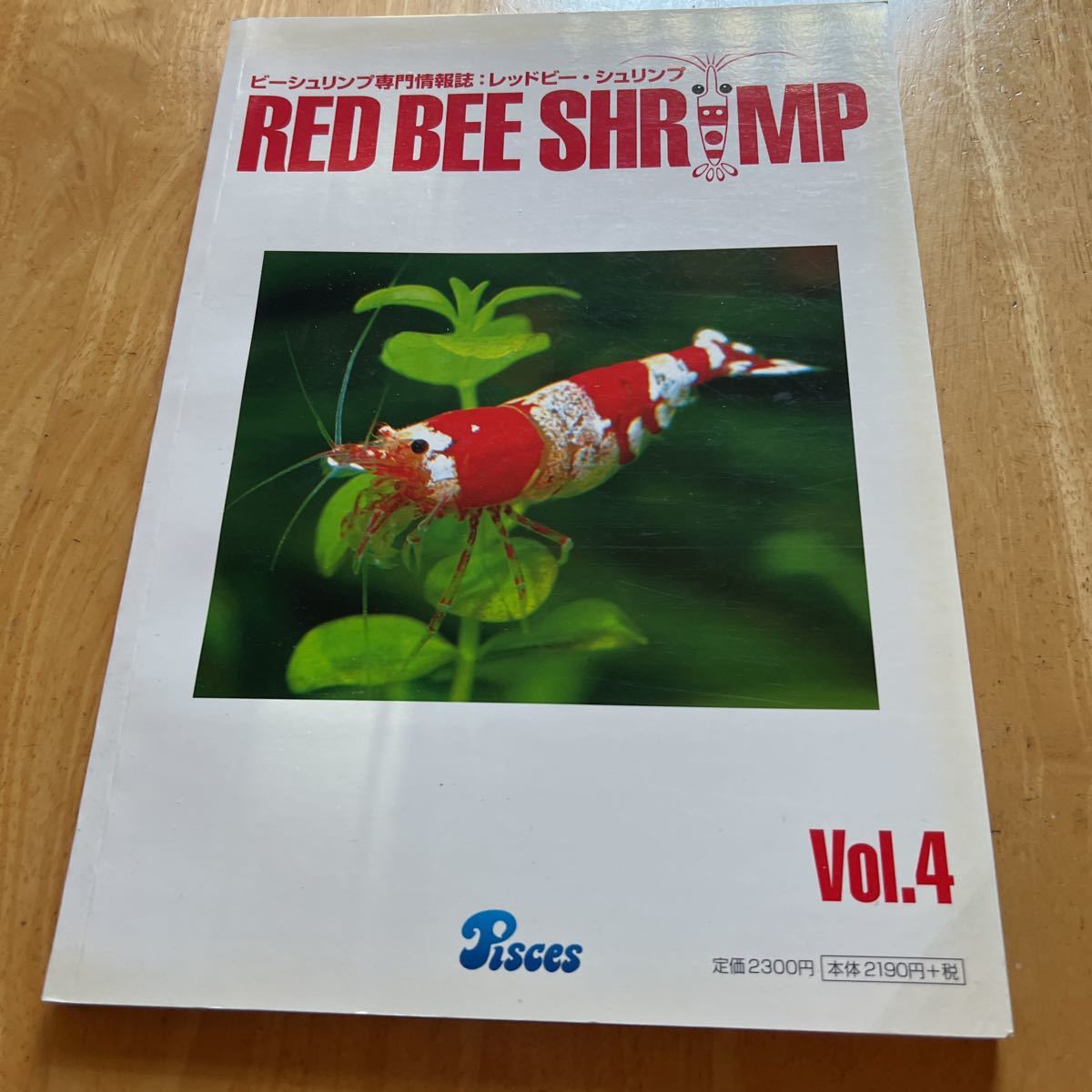  Red Bee Shrimp Vol.4
