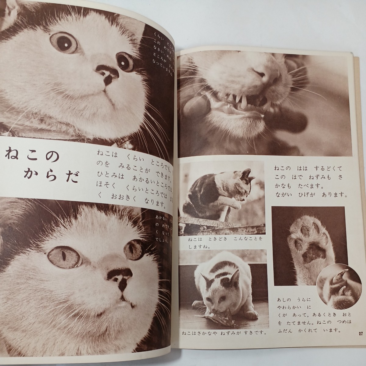 zaa-483♪科学ブック第1巻 (4、みぢかなどうぶつ) 単行本（ソフトカバー） 1960/9/20 鈴木郁三 (著) 世界文化社 (1961/8/20)