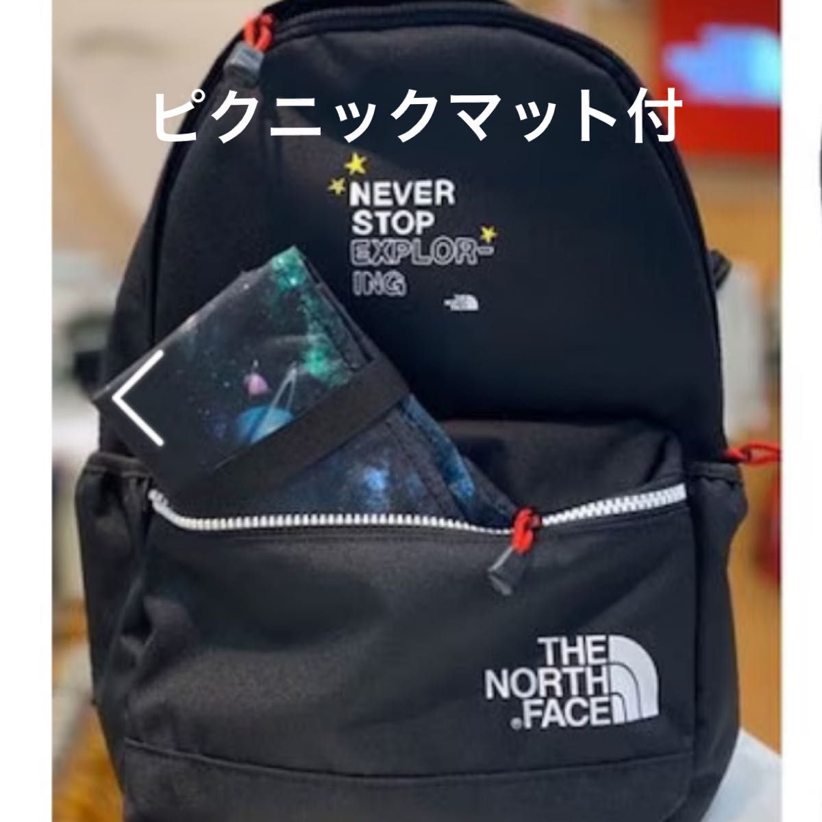 ラスト1点　THE NORTH FACE キッズリュック ピクニックマット付