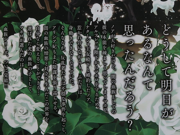 6月刊□夜光花/奈良千春□始祖の血族□有償特典小冊子・ペーパー