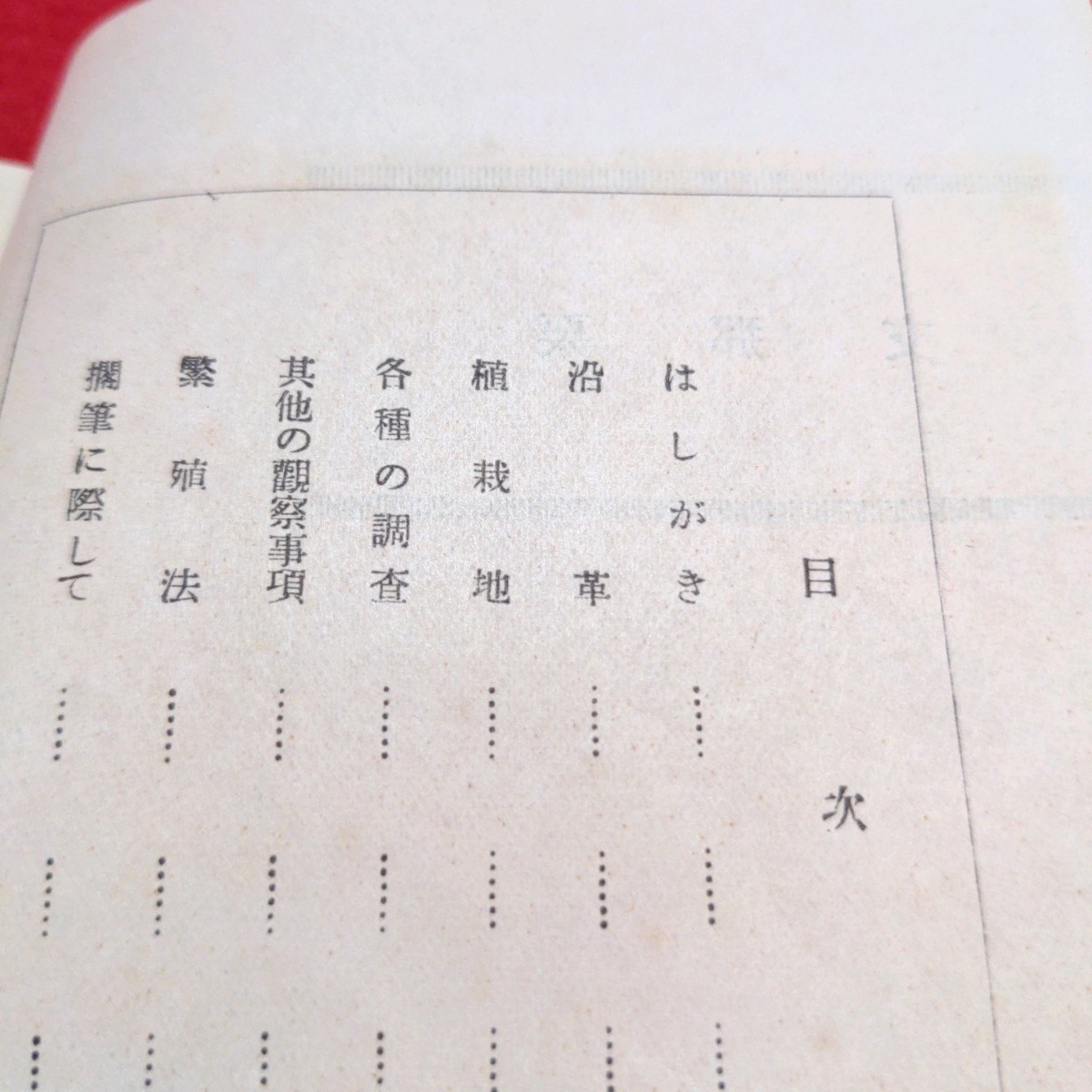 戦前　ヴィンテージ　支那栗 愛知営林局 昭和8年　古い印刷物 野澤徳郎 アンティーク 希少 当時物　印刷物 冊子 約14cm×約10.5cm 11ページ_画像4