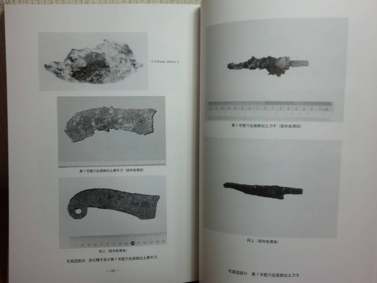 180711J05★ky 青森県百石町教育委員会 根岸2遺跡発掘調査報告書 埋蔵文化財 平成7年 竪穴住居跡 土師器 須恵器 礫器 木片 蕨手刀_画像10