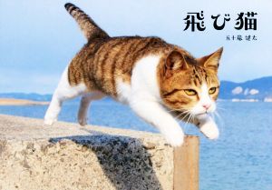 飛び猫／五十嵐健太(著者)_画像1