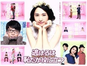 逃げるは恥だが役に立つ　ＤＶＤ－ＢＯＸ／新垣結衣,星野源,大谷亮平,海野つなみ（原作）,末廣健一郎（音楽）,ＭＡＹＵＫＯ（音楽）_画像1