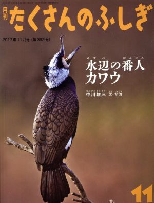 月刊たくさんのふしぎ(１１　２０１７年１１月号) 月刊誌／福音館書店(編者)_画像1