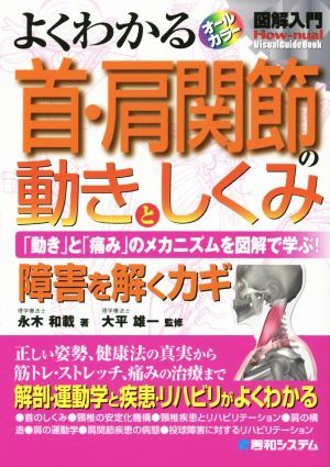 よくわかる　首・肩関節の動きとしくみ 「動き」と「痛み」のメカニズムを図解で学ぶ！　障害を解くカギ　オールカラー 図解入門　Ｈｏｗ‐_画像1