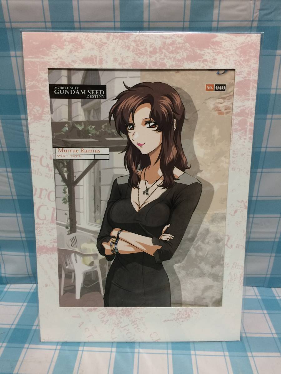 ムービック 機動戦士ガンダムSEED DESTINY ポートレート PHASE ムービック 機動戦士ガンダムSEED DESTINY ポートレート PHASE