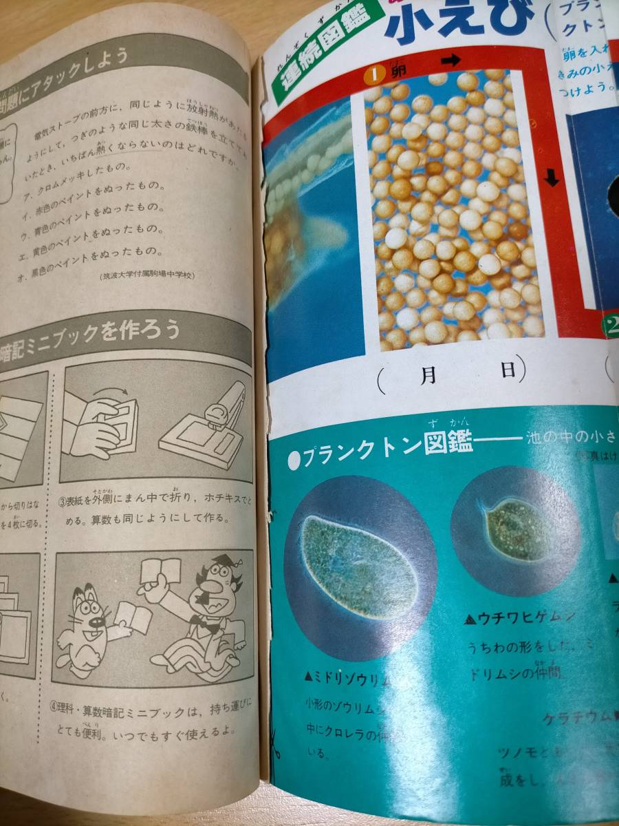 E016 ☆ 6年の科学 科学 2冊まとめて 1979年7月と12月 / 本 雑誌 学習雑誌 教科書 勉強 読物 古本 古書 写真 学研 印刷物 ☆_画像5