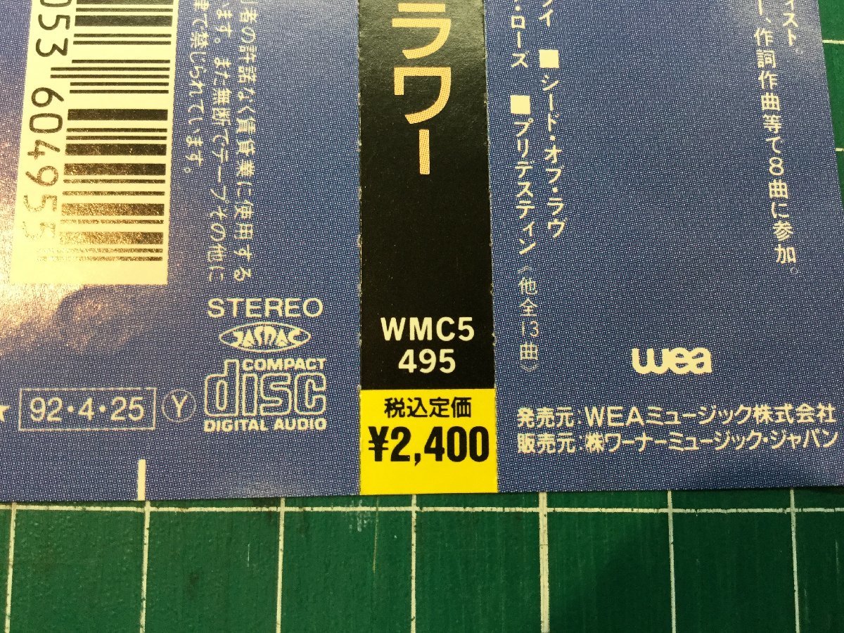 【CD-041】サンディ・ラム / ワイルドフラワー / CD / WMC5-495 / 帯付き / WEA_画像5