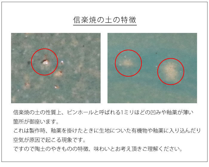 信楽焼 睡蓮鉢 メダカ鉢 おしゃれ めだか鉢 陶器 水鉢 ビオトープ 金魚鉢 信楽焼き スイレン鉢 ハス鉢 13号ナマコ色水鉢 su-0252_画像4