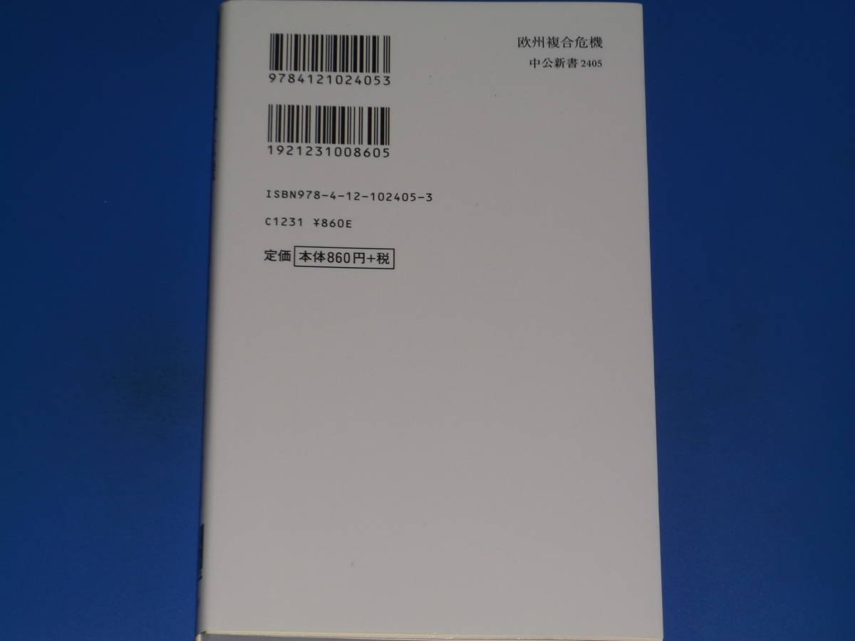 欧州複合危機★苦悶するEU、揺れる世界★遠藤 乾 (著)★中公新書★中央公論新社_画像2