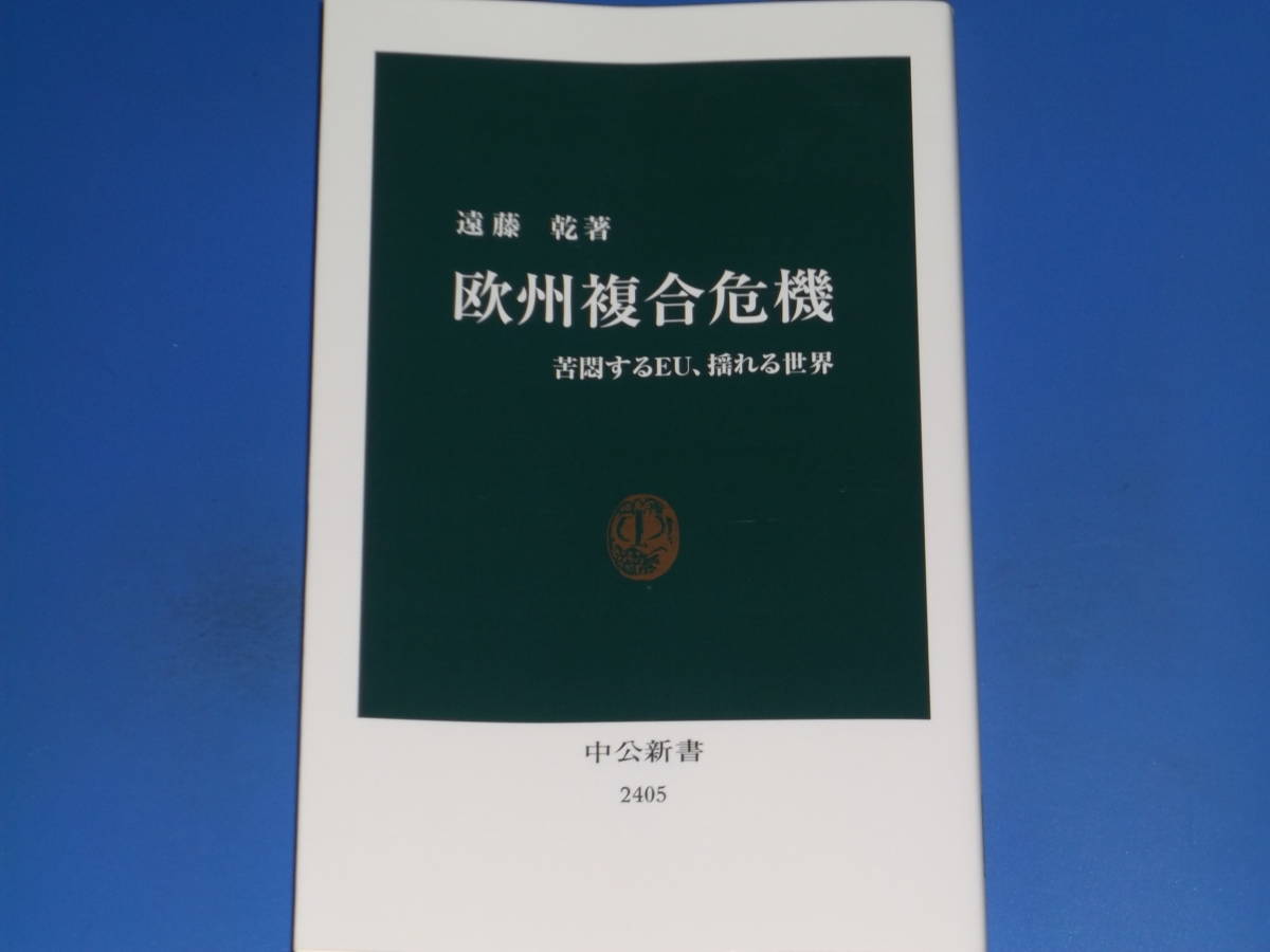 欧州複合危機★苦悶するEU、揺れる世界★遠藤 乾 (著)★中公新書★中央公論新社_画像1