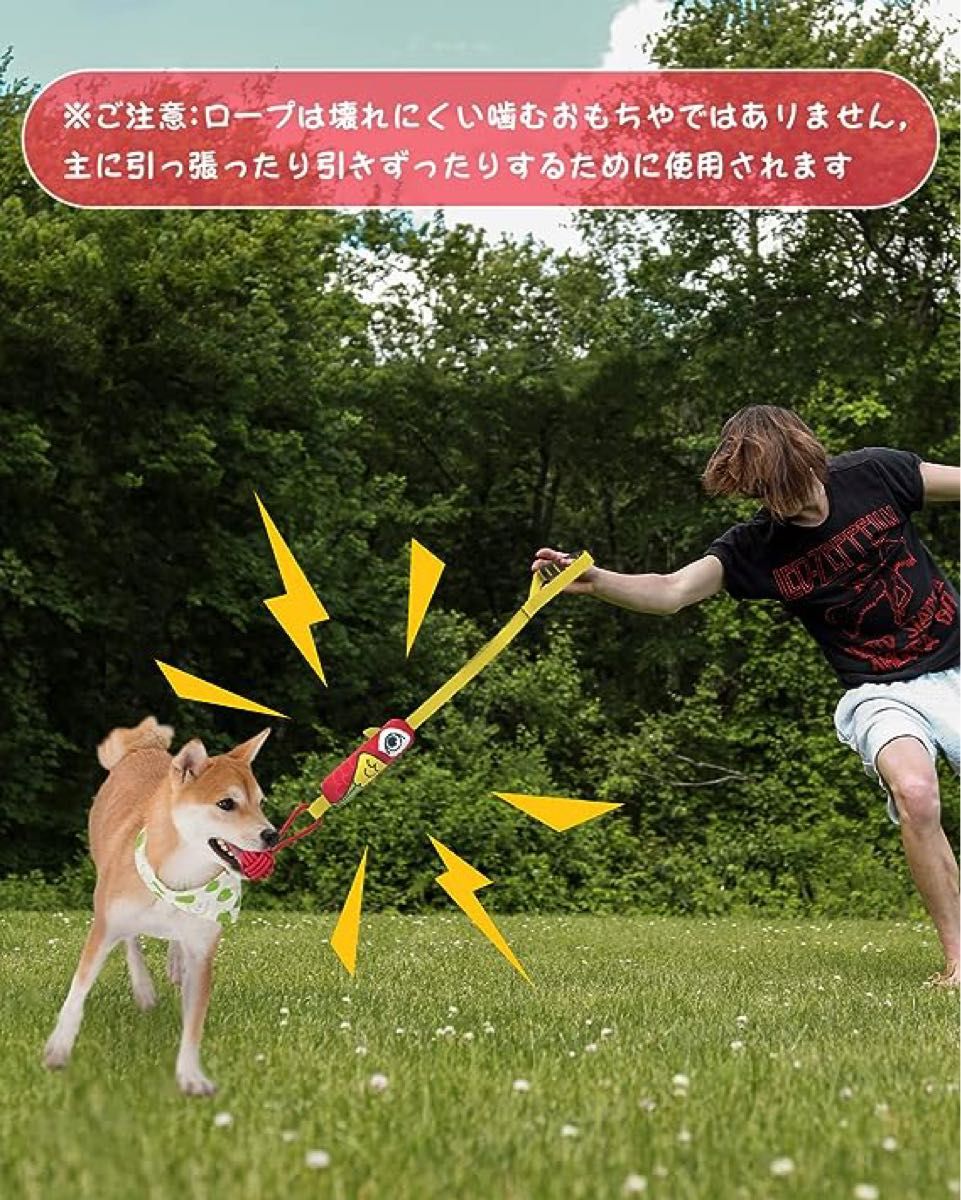 犬 おもちゃ ロープ 噛むおもちゃ 音が鳴る 音の出るおも 中型犬/大型犬 ペットトイ