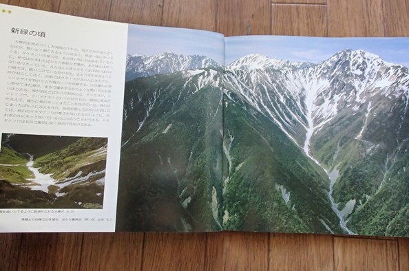 #〇[山と渓谷]◆永田芳男の北岳の花◆新装グラフ◆山と渓谷社:刊◆_画像3