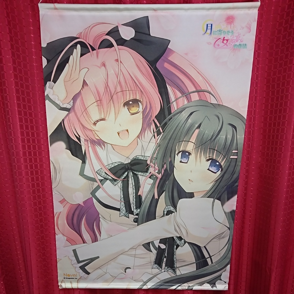 ヤフオク 75 51 月に寄りそう乙女の作法 柳ヶ瀬湊 花 ヤフオク 75 51 月に寄りそう乙女の作法 柳ヶ瀬湊 花
