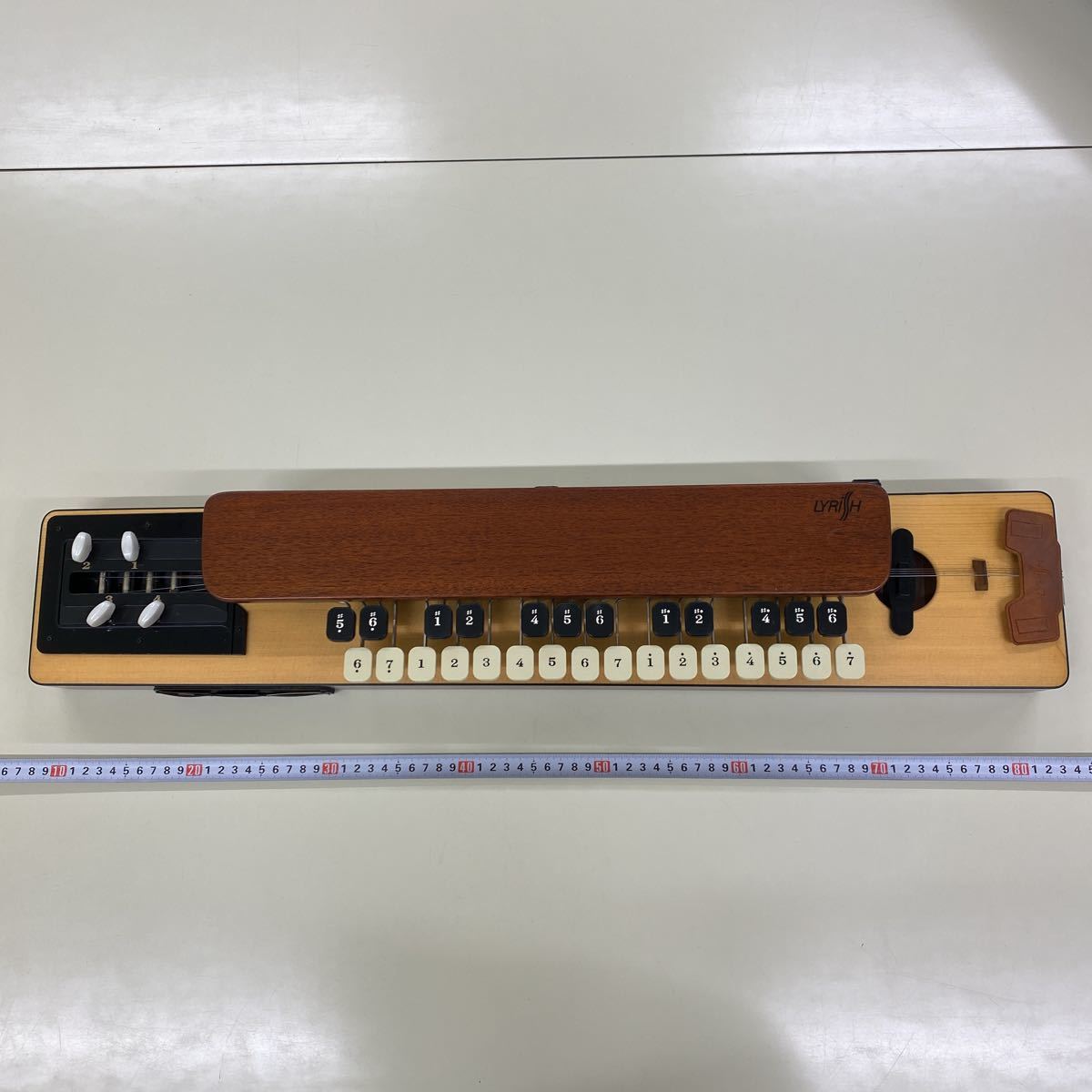 20 LYRISH ライリッシュ LPS50 LE167 大正琴 楽器 和楽器 ソフトケース