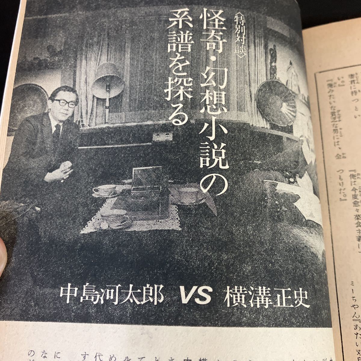 23-7-30『 別冊　いんなあとりっぷ　完全復刻版　怪奇・幻想小説の世界』江戸川乱歩　横溝正史　小栗虫太郎ほか_画像7