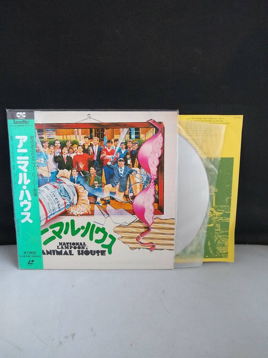 L8815 LD・レーザーディスク　ANIMAL HOUSE アニマル・ハウス ジョン・ベルーシ_画像3