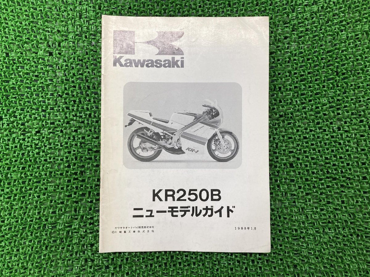 KR250B サービスマニュアル 補足版 カワサキ 正規 中古 バイク 整備書 KR250-B1配線図有り ニューモデルガイド 車検 整備情報_お届け商品は写真に写っている物で全てです