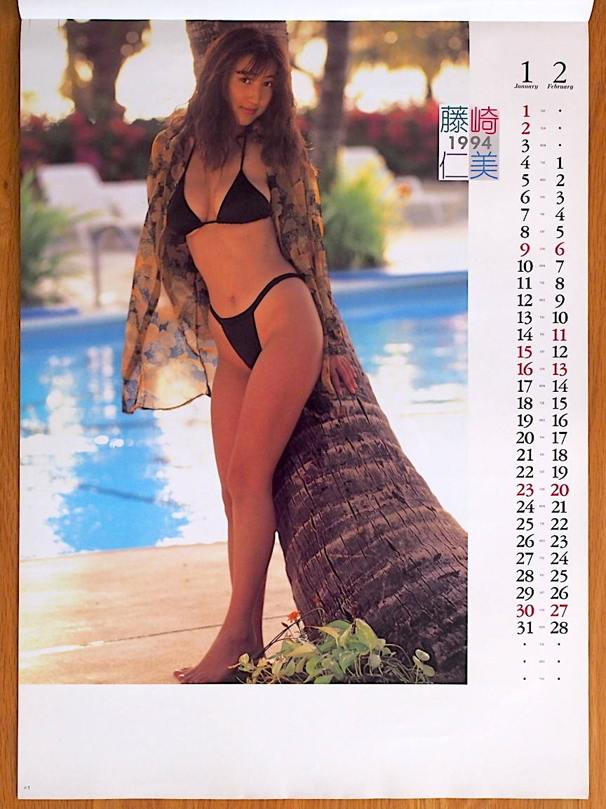 1994 год Fujisaki Hitomi календарь не использовался хранение товар 
