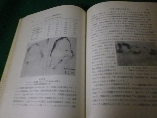 ■アイソトープ農業応用技術 三井進午 アイソトープ応用技術講座第6巻 地人書館 昭和33年■FAUB2023072407■_画像3